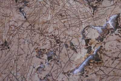 Spinazzola, quel "racconto" inciso 5mila anni fa su una roccia: �Sito unico, ma non tutelato�